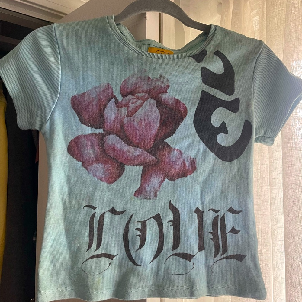 Juliet Johnstone - Cute baby blue crop top with cute rose design - super comfy!